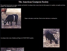 Tablet Screenshot of goatporn.org